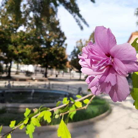 カステッランマーレ・ディ・スタービアCasa Andrea Tra Napoli E Sorrentoアパートメント エクステリア 写真